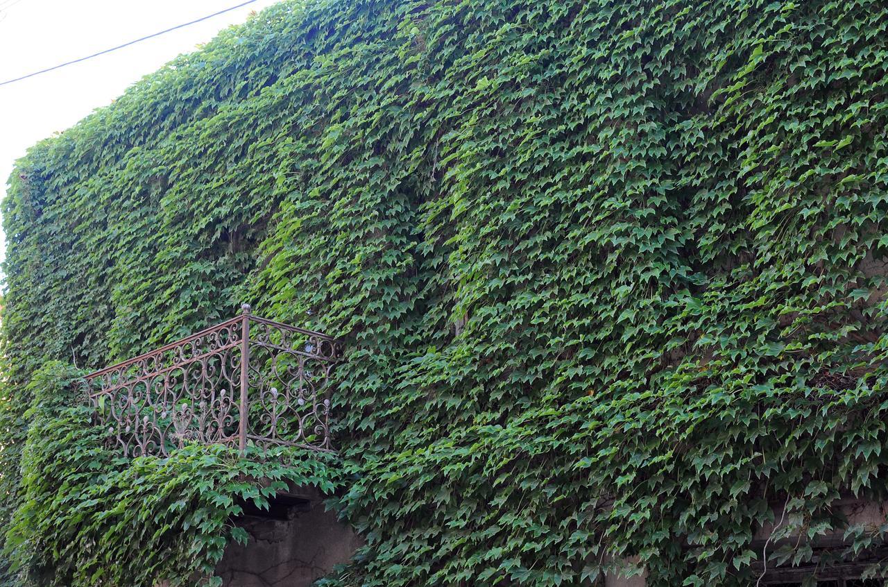 Old Walls 1 Tbilisi Exterior foto